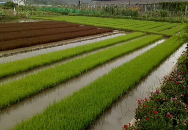 郴州蓮山莊園,郴州生態山莊,郴州原生態休閑農業莊園,郴州鄉村旅游